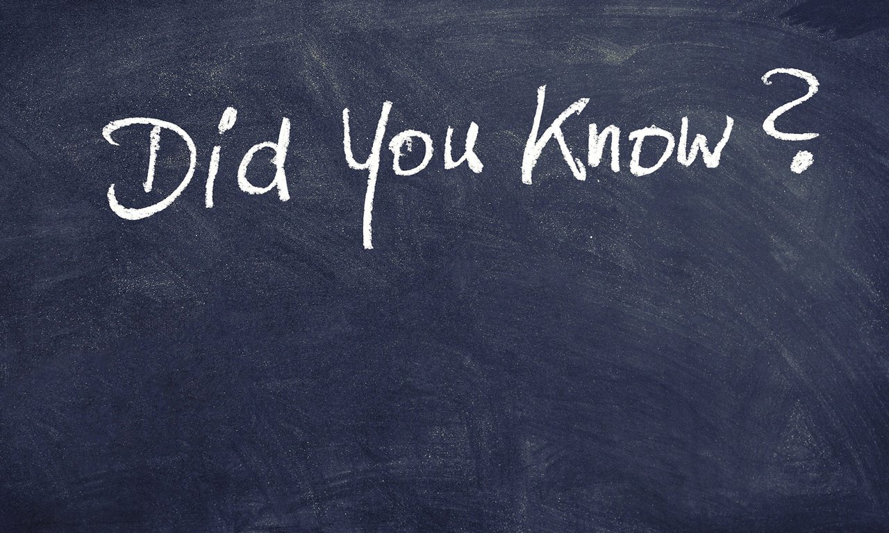 Did you know - Schriftzug auf Tafel