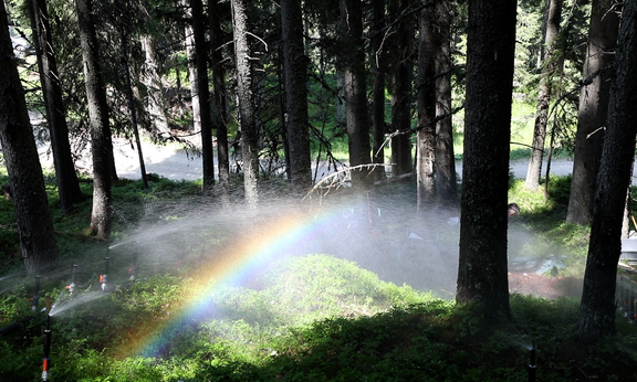 Bild vom Beregnungsversuch