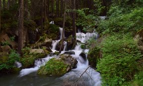 Mehrstufiger Wasserfall in einem dichten, grünen Bergwald mit Moos, Felsen und ruhigem Wasserbecken.