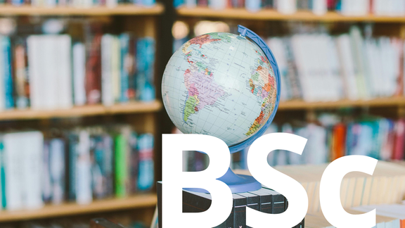 BSc