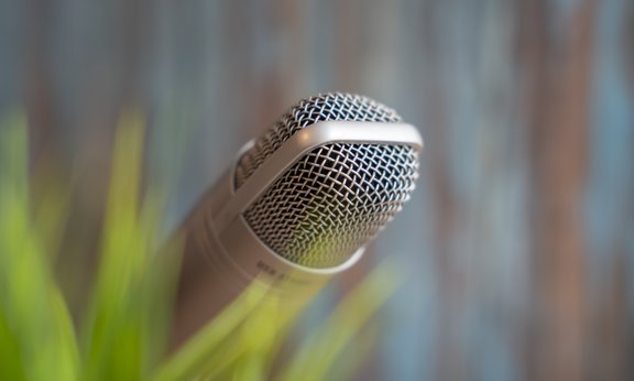 A microphone with green leaves in front