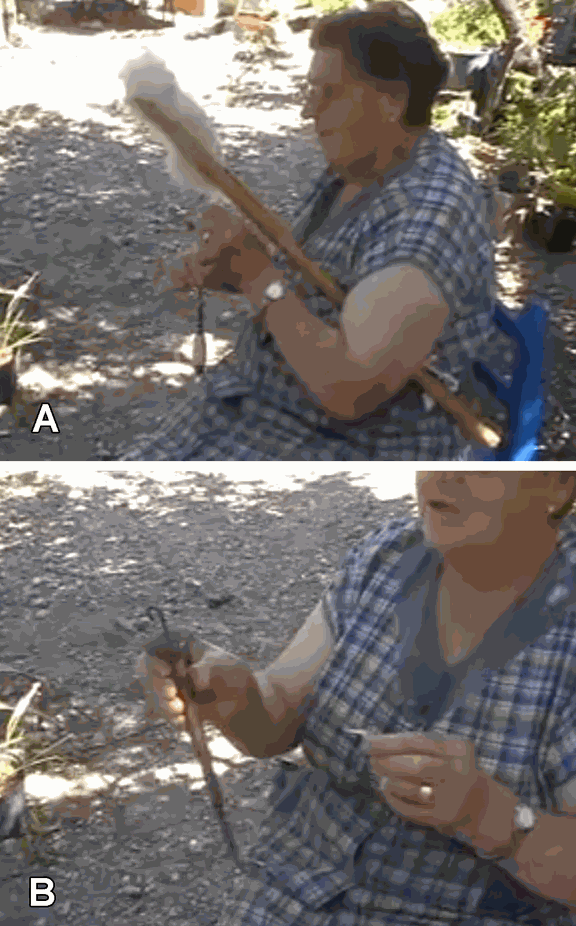 Spain, Catalania, spinning and plying