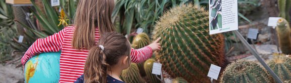 Zwei Kinder inmitten von Kakteen, eines berührt einen Kaktus