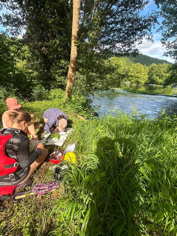 Studenten forschen im Gras