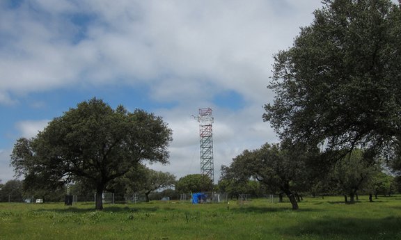 Las Majadas: Flux tower in the oak savanna woodland of Las Majadas (Spain)