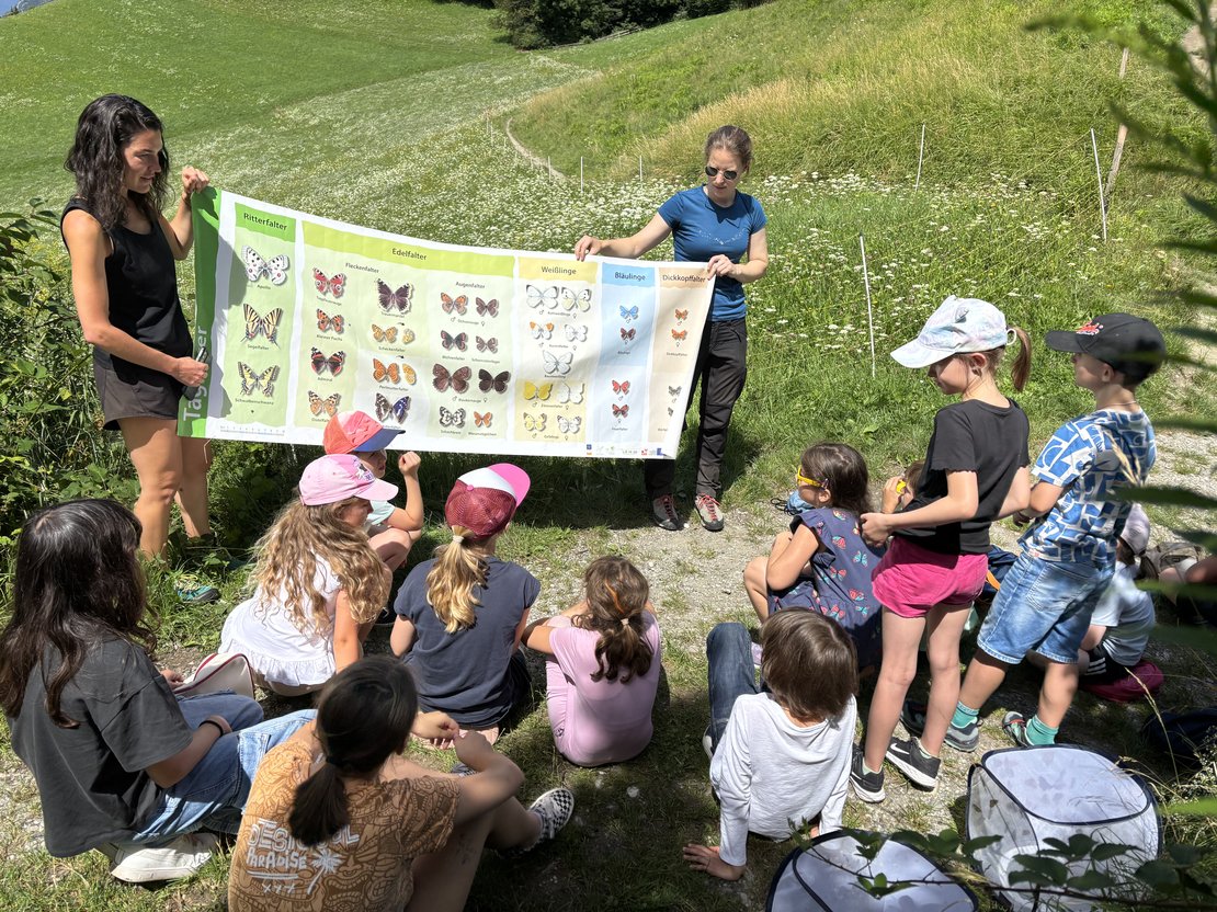 Viel-Falter, die bunte Welt der Schmetterlinge