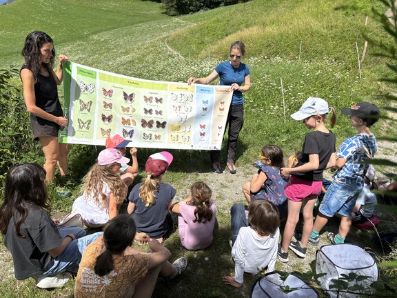 Viel-Falter, die bunte Welt der Schmetterlinge