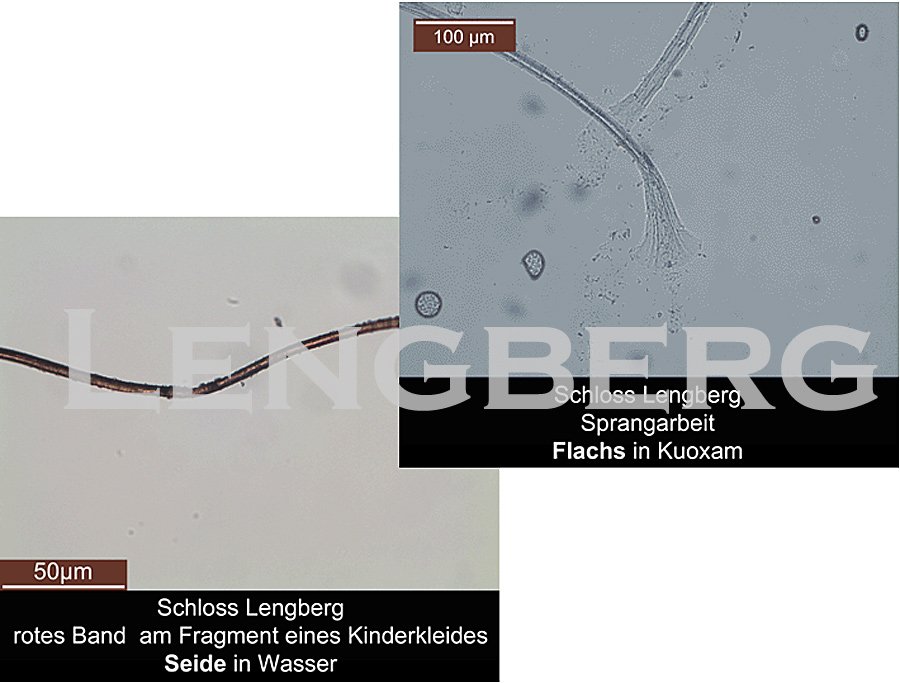 Lengberg-Fasermikroskopie
