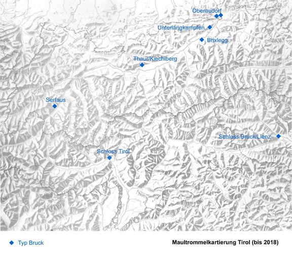 Maultrommelkartierung Tirol Typ Bruck