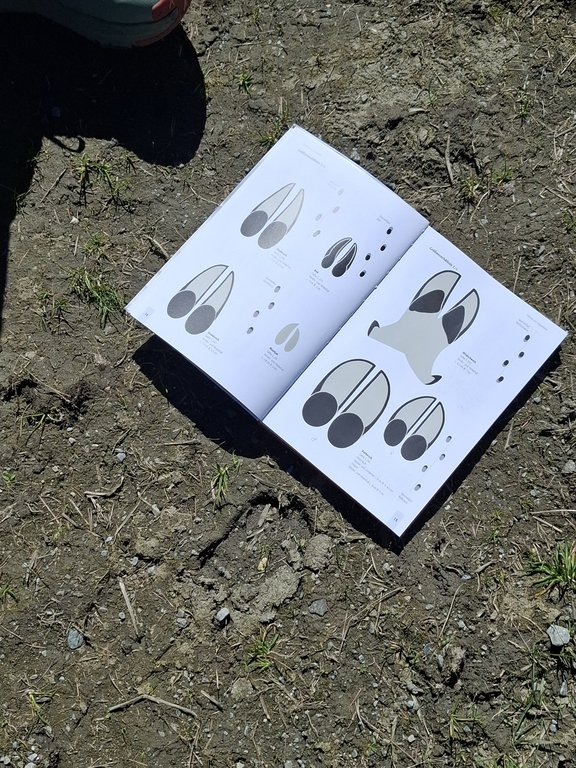 Buch mit Tierspuren zur Fährtenlese