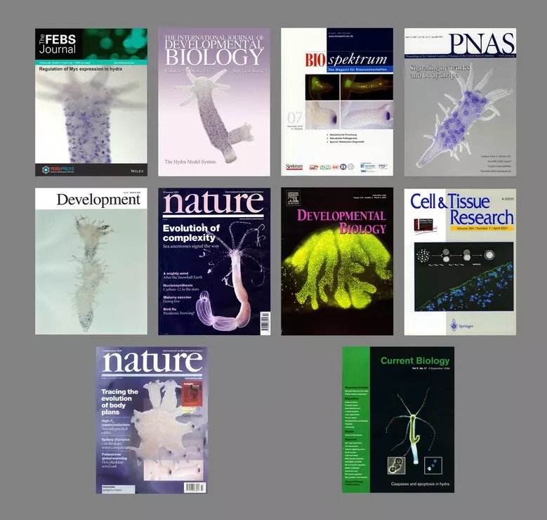 Titelseiten verschiedener Zeitschriften mit Hydrabildern