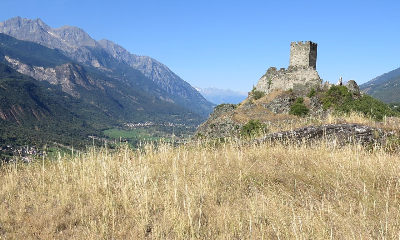 Blütenreichen extrazonalen Steppe aus dem italienischen Val d‘Aosta