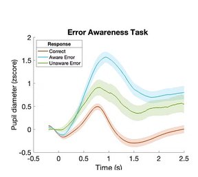 Autonomic markers of metacognitive monitoring