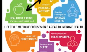 Die mehrfahrbige, kreisförmige Grafik zeigt die sechs verschiedenen Bereiche, die aus wissenschaftlicher Sicht der Gesundheitsvorsorge dienen.