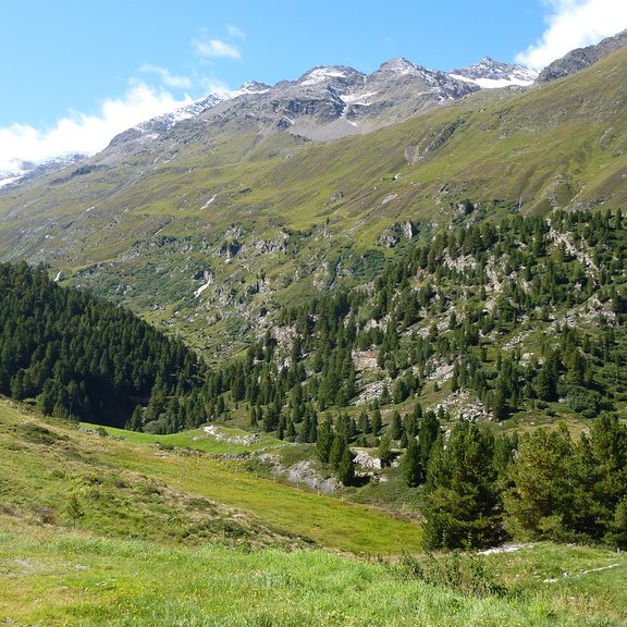 Past and present vegetation, climate and land use interactions in mountain regions (e.g. The Alps and Pyrenees in Europe and the Tian Shan in Central Asia)