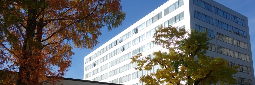 Institut für Mathematik