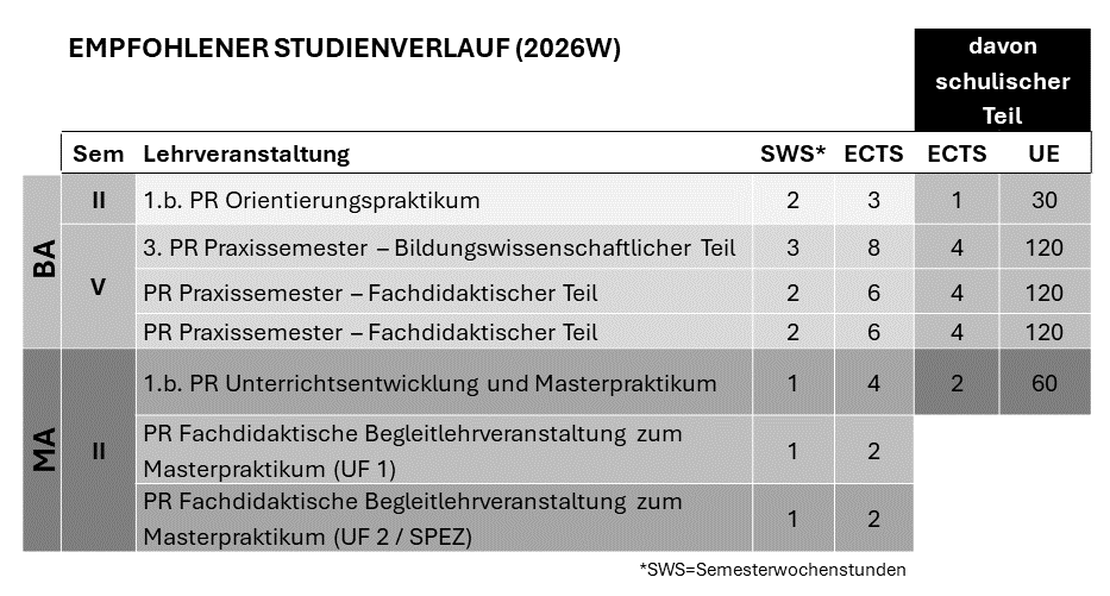 Praktika im Studienverlauf