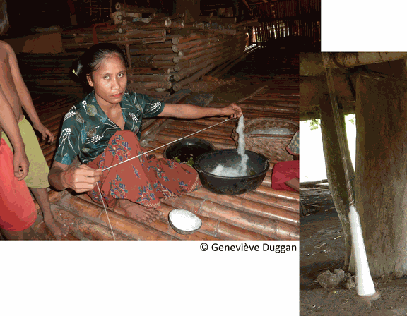 Indonesia, Kodi, West Sumba, woman spinning
