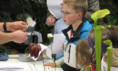 Osterfest Botanischen Garten