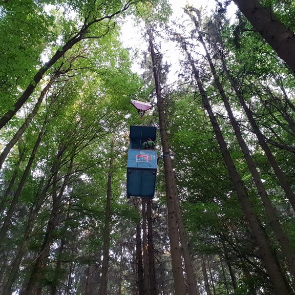 Kran zur Probenname in Waldkrone/Canopy crane for sampling in forest crown