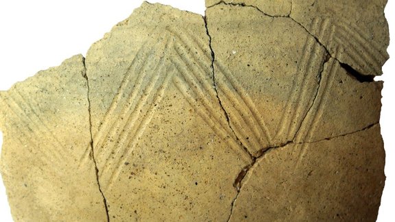 Abb. 7: Hallstattzeitliche Keramikfragmente aus Fläche 1