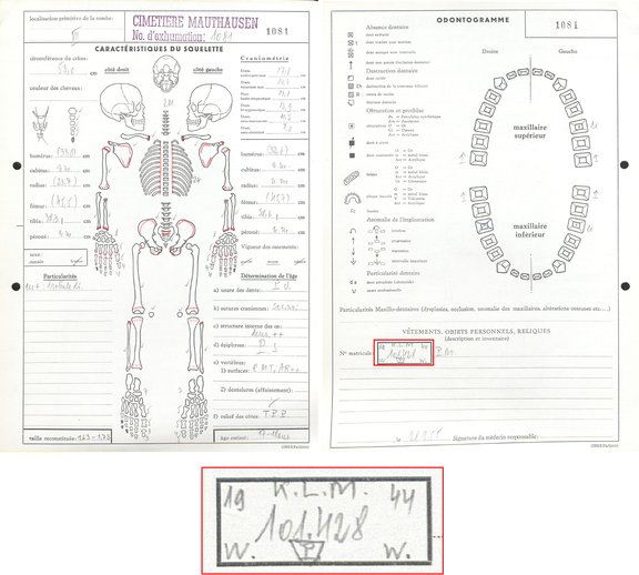 Forensic documentation form