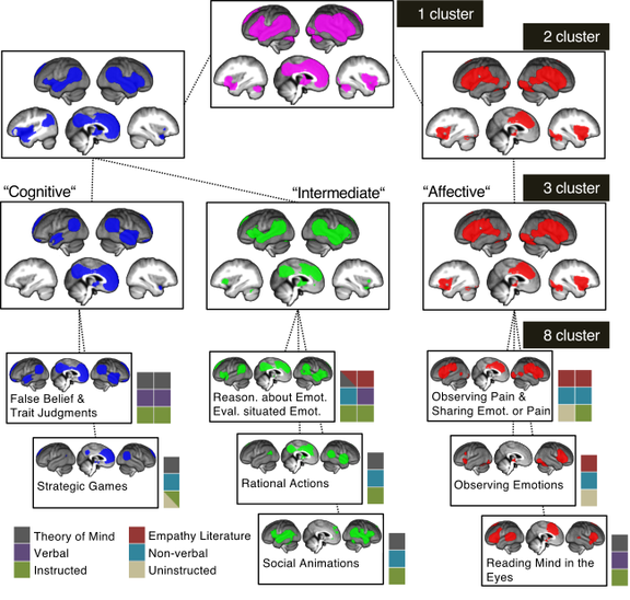 Graph showing brain activation for clusters at different model orders
