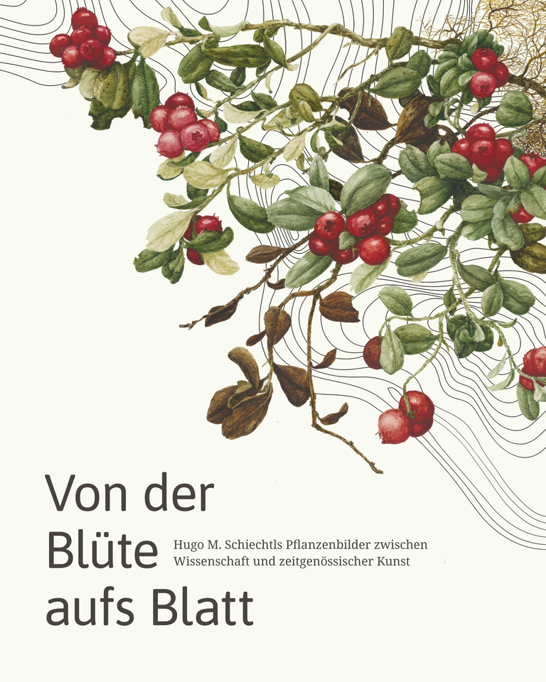 Pflanzendarstellung von Hugo M. Schiechtl