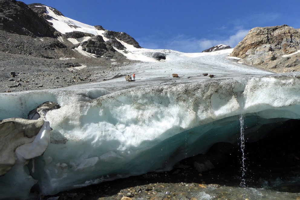 Langenferner glacier (photo Stephan Galos)