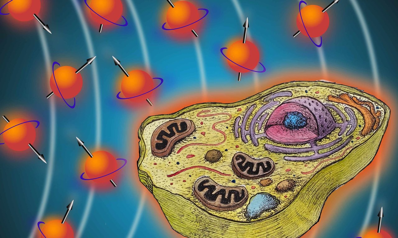 Illsutration einer Zelle mit leuchtenden Wasserstoffatomen