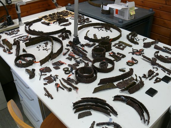 Rostiges Eisen. Vorbehandlung von archäologischen Eisenfunden für die Natriumsulfitentsalzung