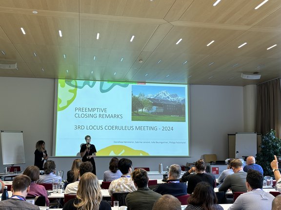 Presentation LC Meeting closing remarks Prof. Hämmerer in the Grillhof Saal Tirol