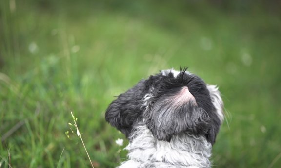 Postkarte LiteraturTirol