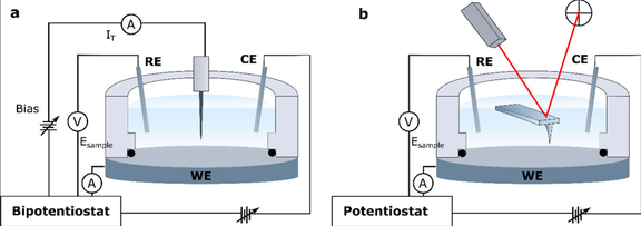 Combining Electrochemical Scanning Tunneling Microscopy with Force Microscopy