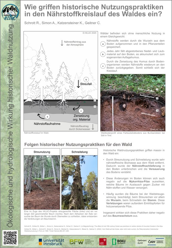Wie griffen historische Nutzungspraktiken in den Nährstoffkreislauf des Waldes ein?