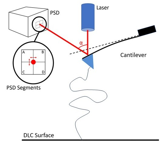 AFM wit molecule chain
