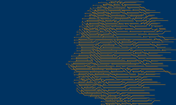 Illustration Workshop