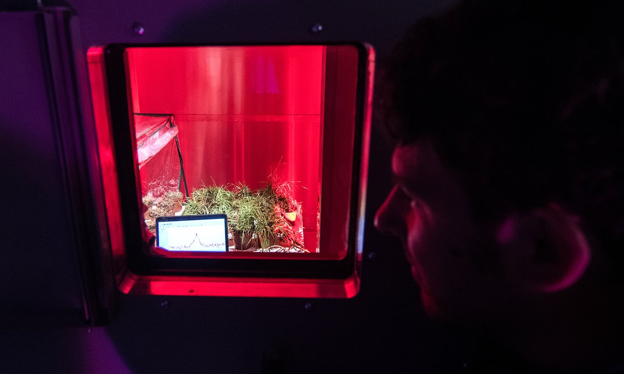 Blick in eine Kammer des Extremklimasimulators terraXcube in Bozen.