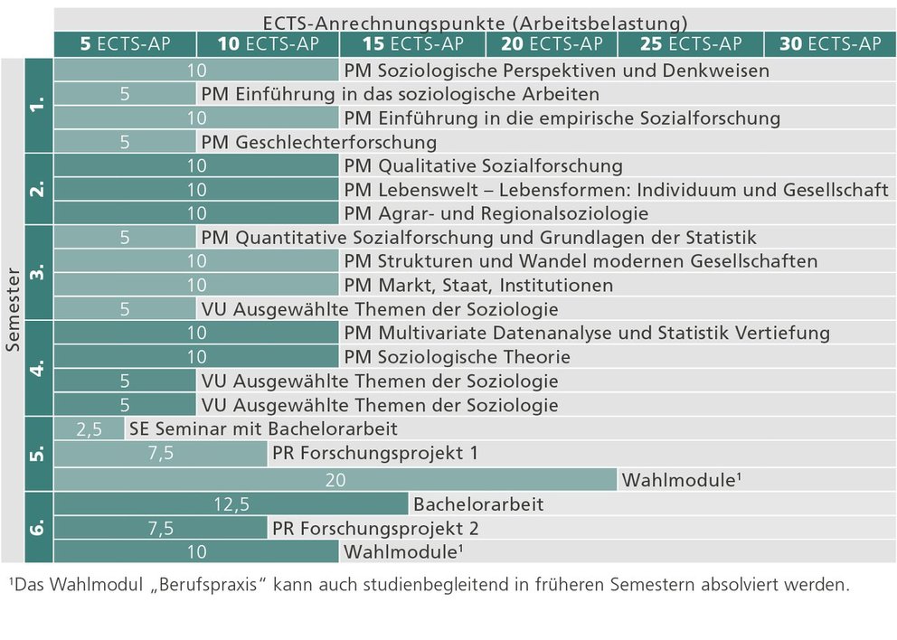 Idealtypischer Studienverlauf