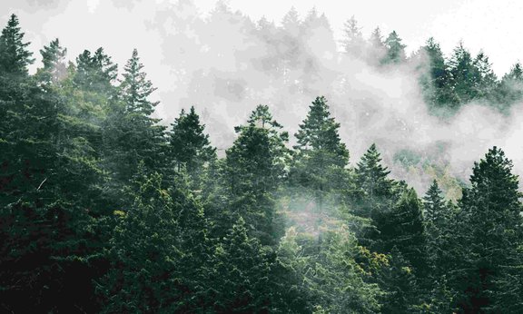 Coverfoto wissenswert Dezember 2023