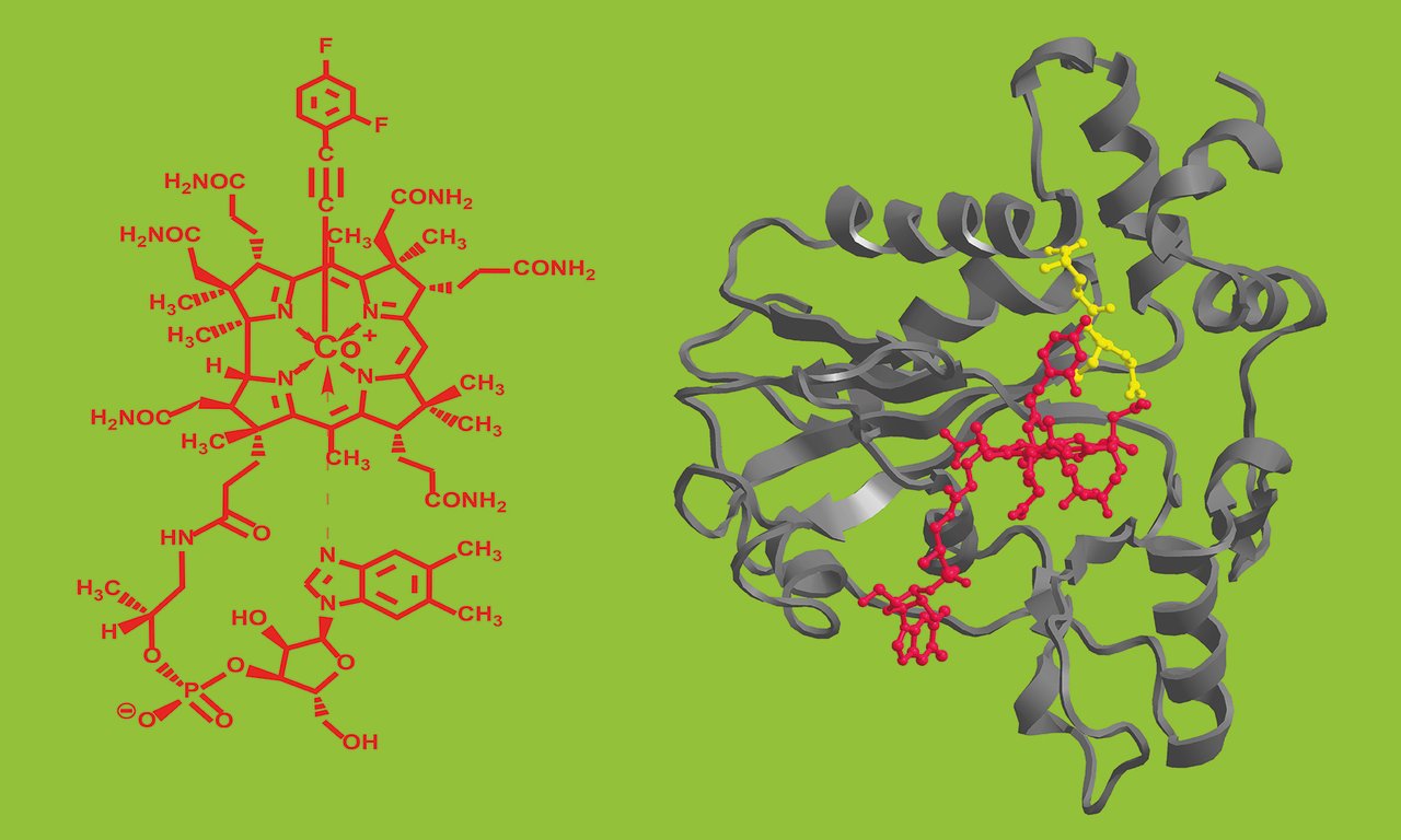 Antivitamin B12
