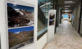 Bilder der Ausstellung im Agnes-Heller-Haus