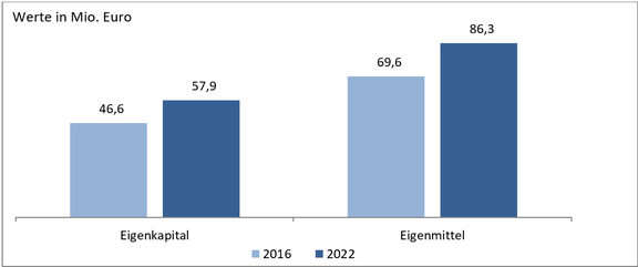 Diagramm Eigenkapital Eigenmittel