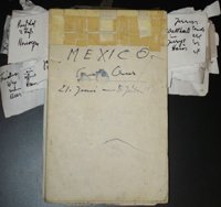 Mexico - Tagebuch, Grundlage für den Roman Das Schildkrötenfest