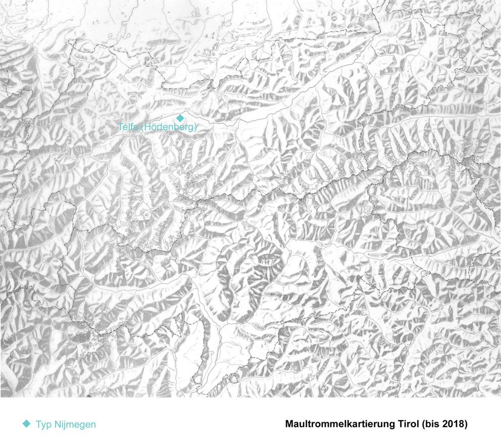 Kartierung Typus Nijmegen