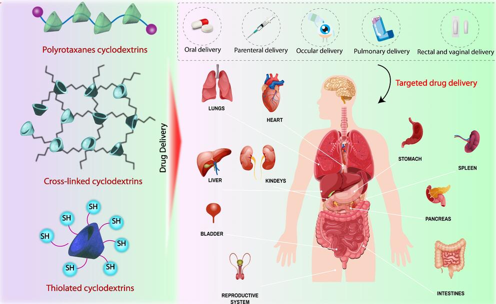 Description Research