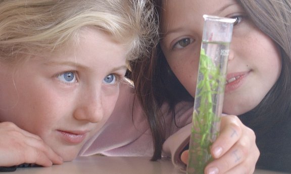 Zwei Kinder schauen in ein Reagenzglas mit einer Pflanze