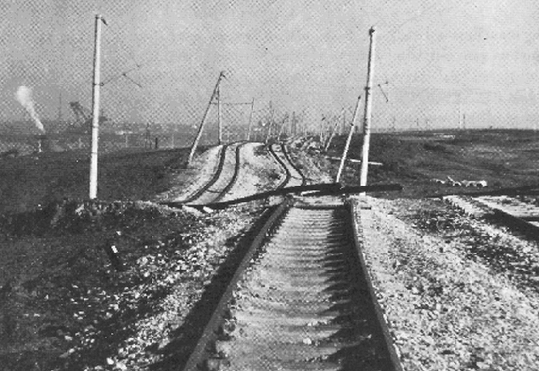 lifelines schwarz-weiß Bild