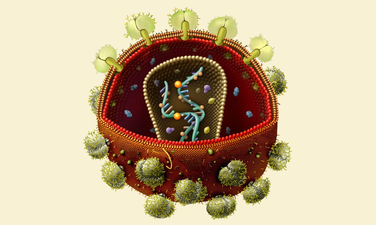 HI-Virus