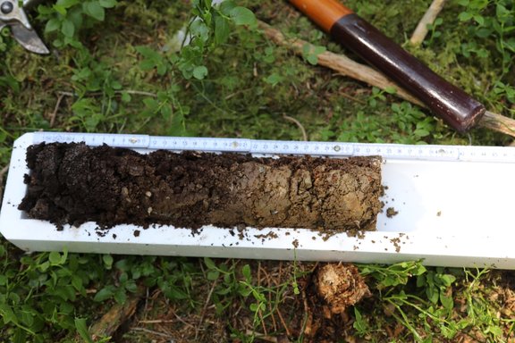 Drill core soil sample in a polystyrene tray.